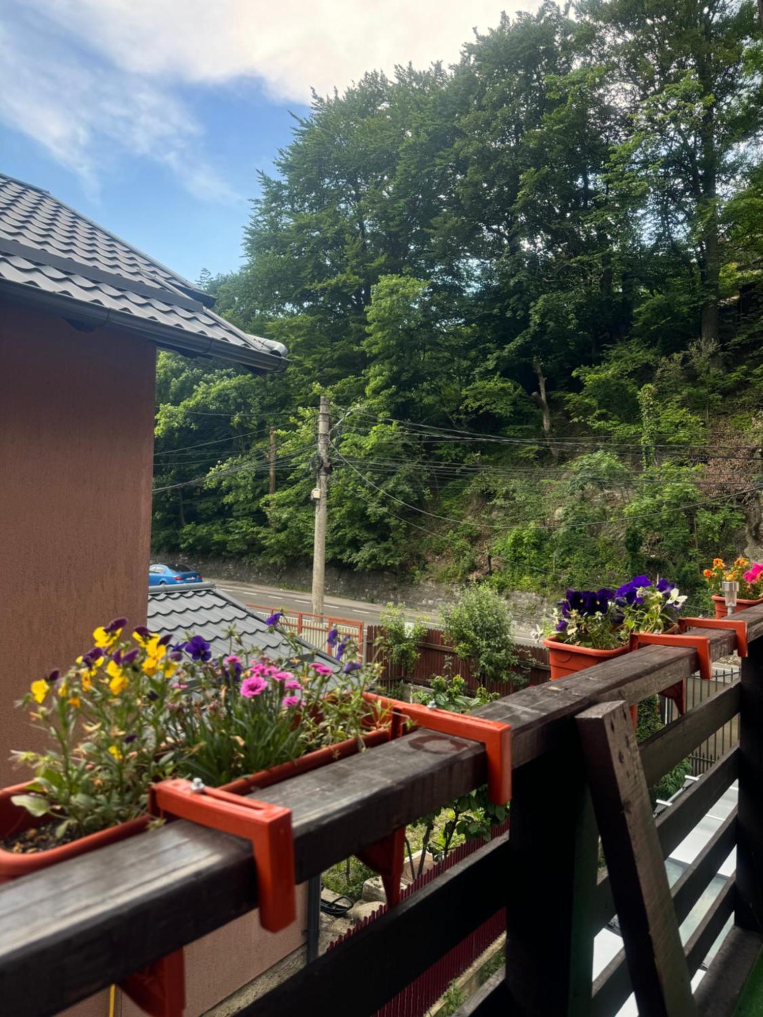 River Apartment Sinaia Luaran gambar